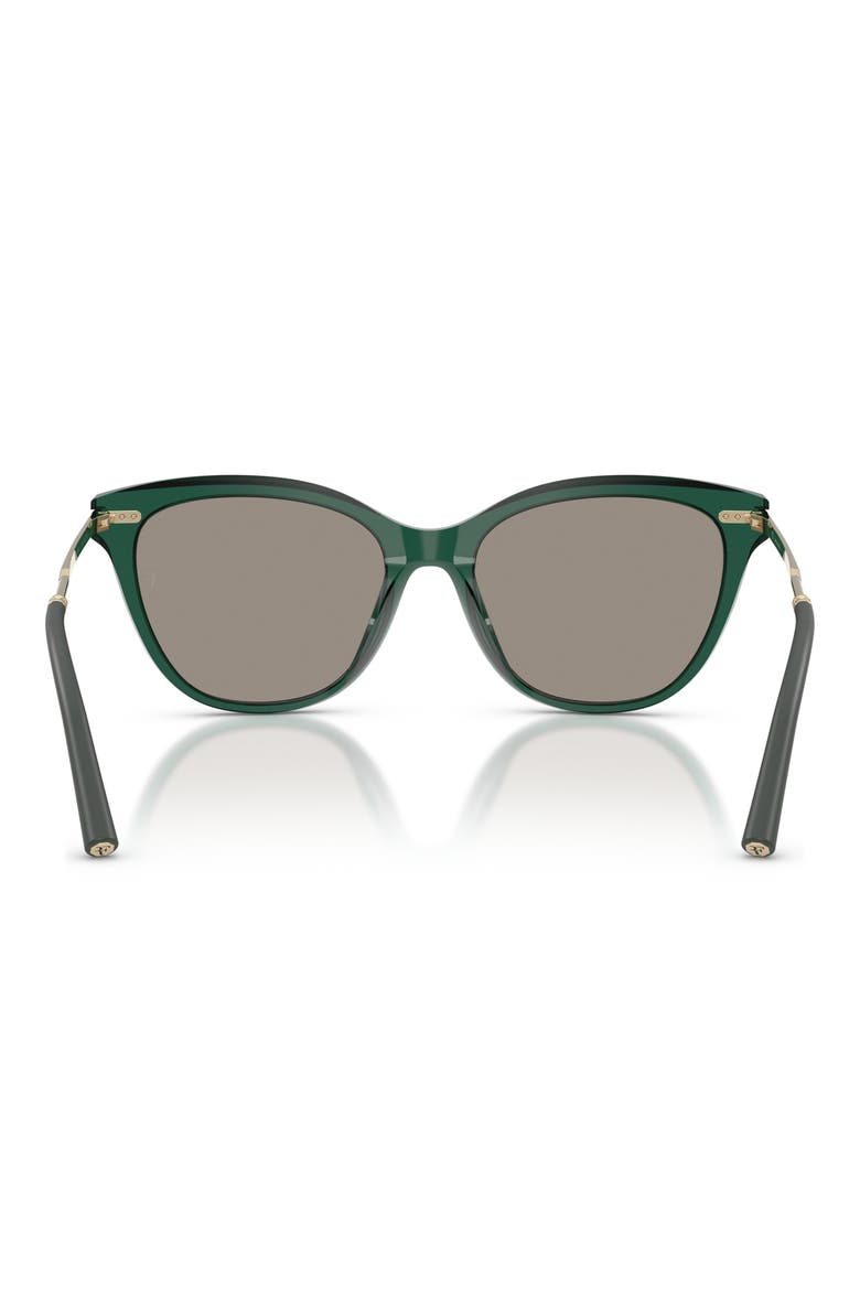 x Roger Federer Mr. Federer 55mm Cat Eye Sunglasses, Alternate, color, TRANSLUCENT DARK TEAL