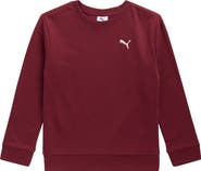 PUMA Kids' Class Pack Fleece Sweatshirt