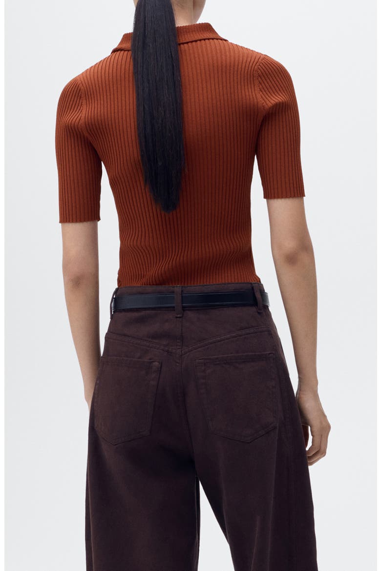 Rib Short Sleeve Polo Sweater, Alternate, color, RUSSET