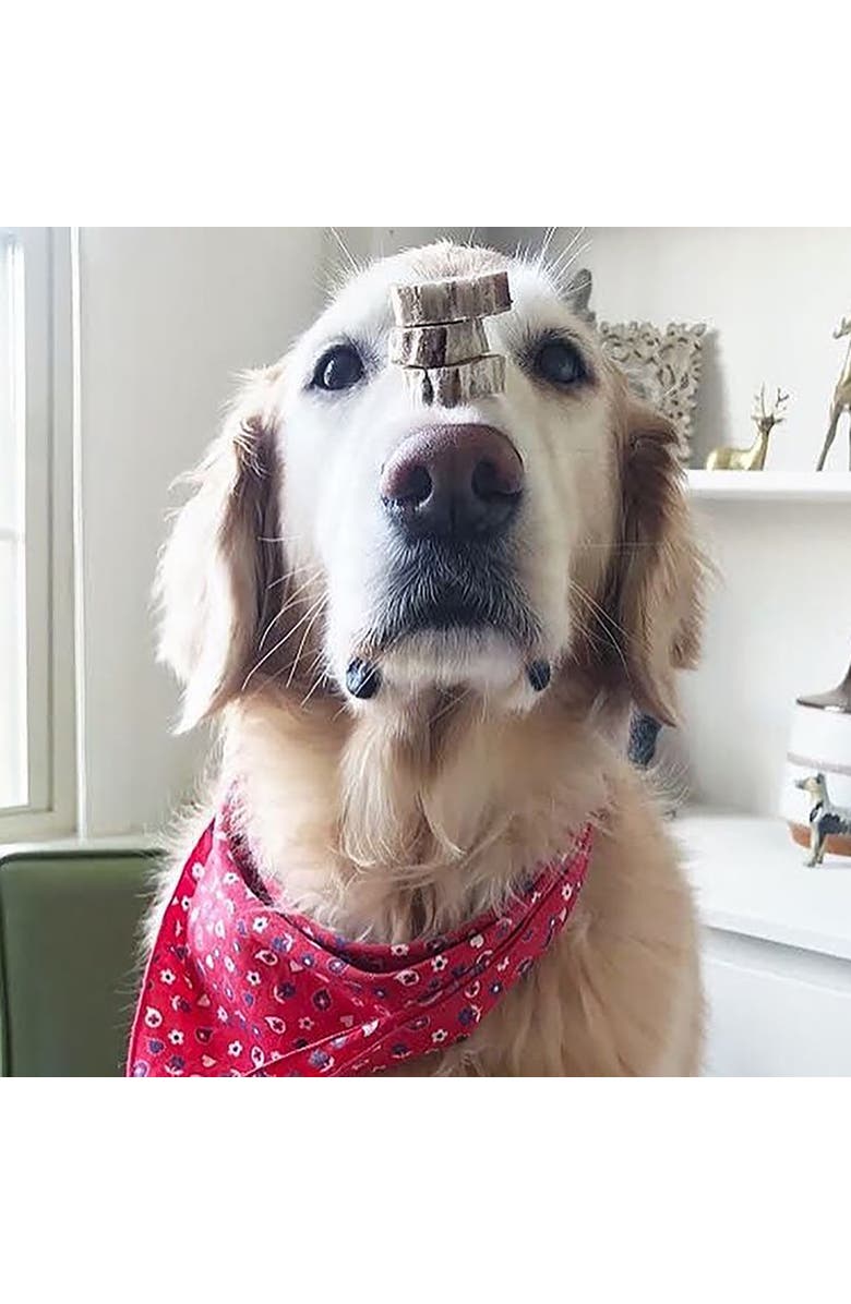 Scout & Zoe's Ox Tails, 3oz Dog Treats, Freeze Dried, Single Ingredient, Alternate, color, Multicolored