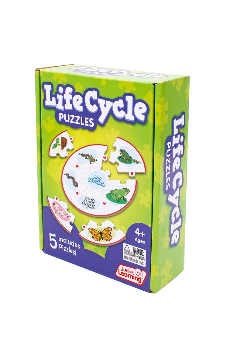 Life Cycle Science Learning Puzzles, Alternate, color, Multicolored