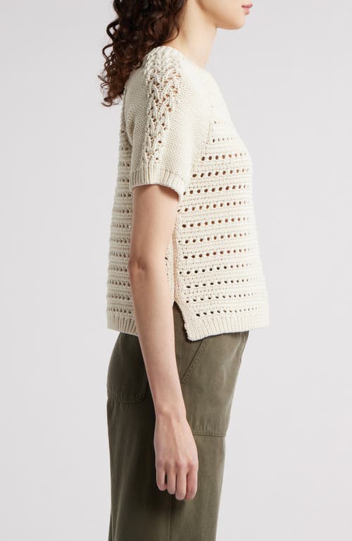 Treasure & Bond Pointelle Raglan Sleeve Sweater In Ivory Dove