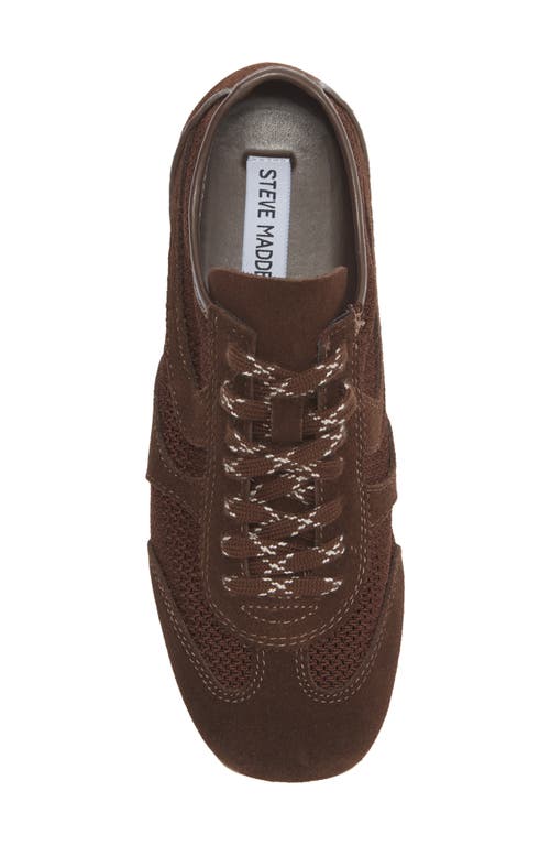 Steve Madden Denverr Sneaker In Brown
