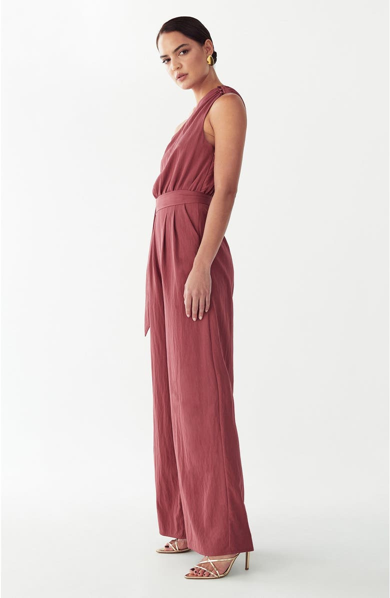 BWLDR Mariah Jumpsuit, Alternate, color, Rosewood