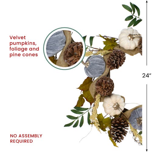 Northlight Pumpkins Foliage Grapevine Artificial Thanksgiving Wreath Unlit, 24" In Multi