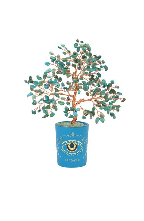 Turquoise Feng Shui Crystal Tree of  Life December Birthstone Soulful Existence