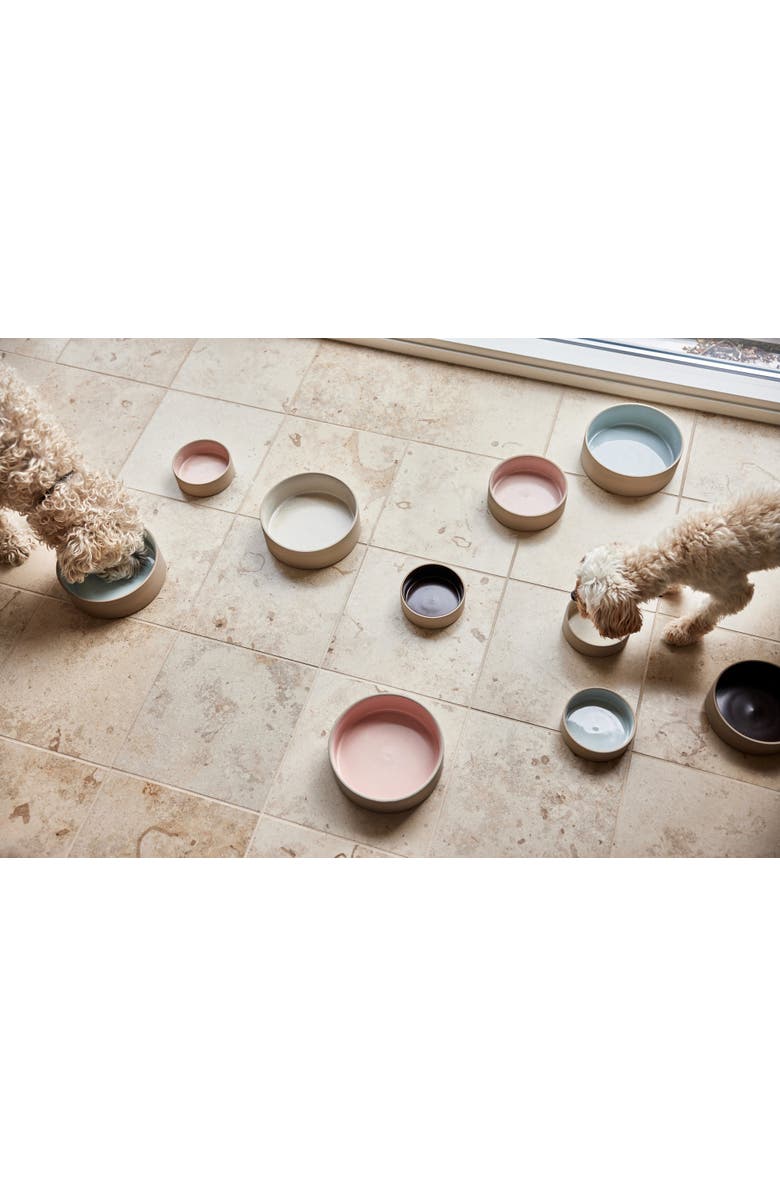 OYOY Sia Dog Bowl, Alternate, color, Rose