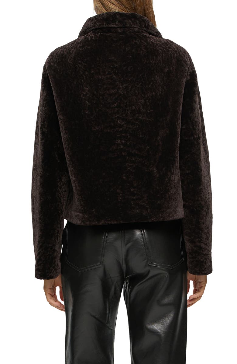 GORSKI Textured Genuine Shearling Short Jacket, Alternate, color, Brown