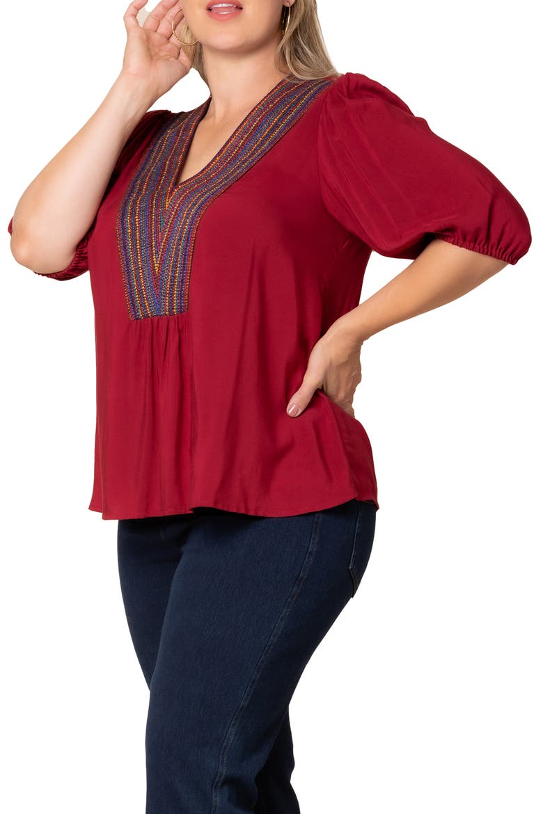 Tacoma Trimmed V-Neck Top, Alternate, color, CRIMSON RED