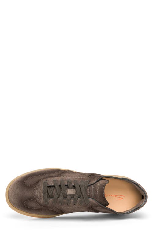 Santoni Suede Round Toe Sneakers With Rubber Sole In Burgundy