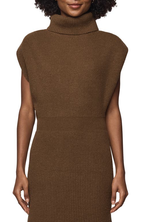 Splendid Marigold Maxi Sweater Dress In Brown