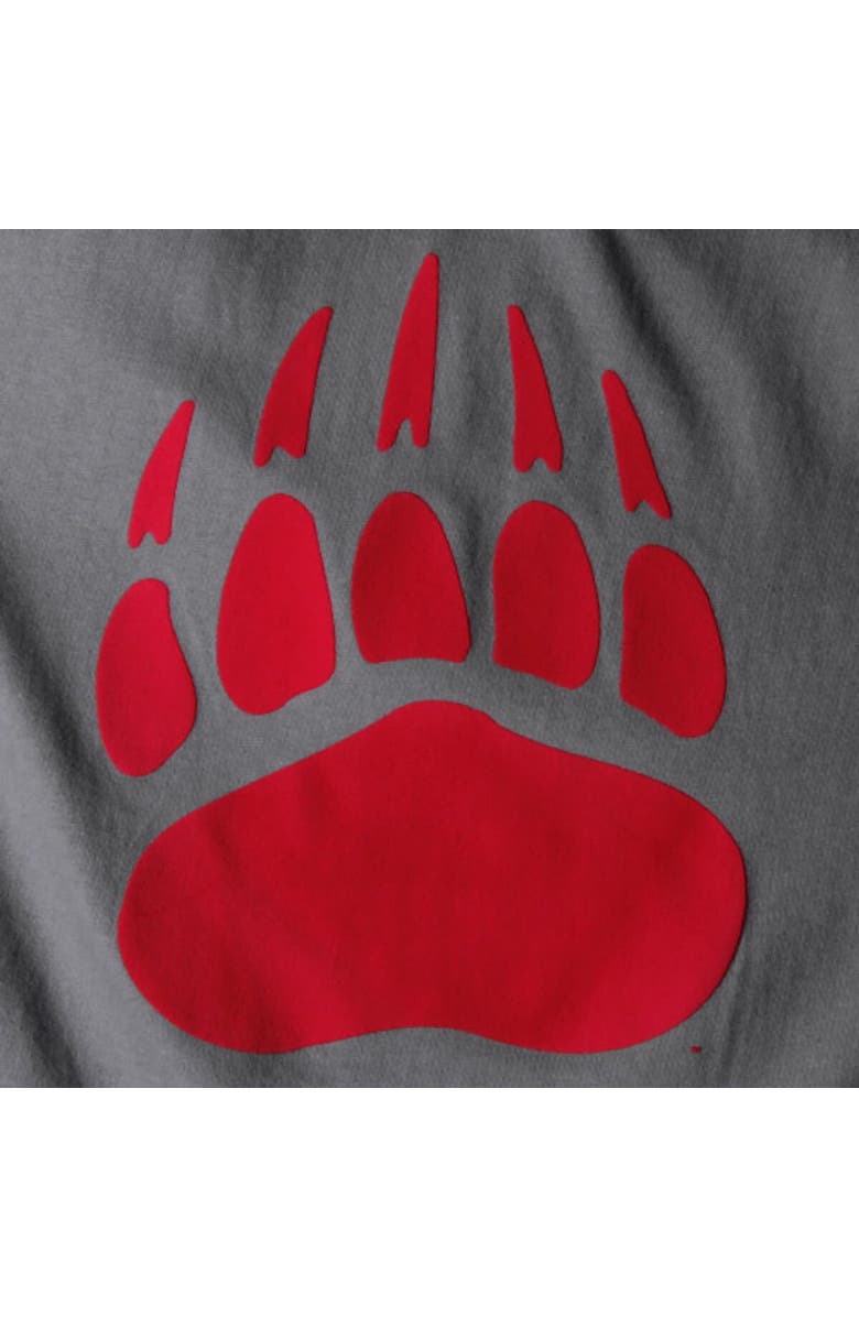 PRESSBOX Women's Pressbox Gray Montana Grizzlies The Big Shirt Oversized Long Sleeve T-Shirt, Alternate, color, 