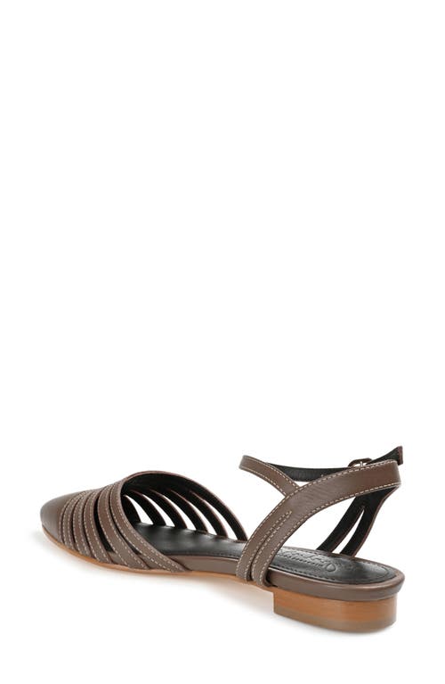 Journee Collection Dexie Strappy Pointed Toe Flat In Brown