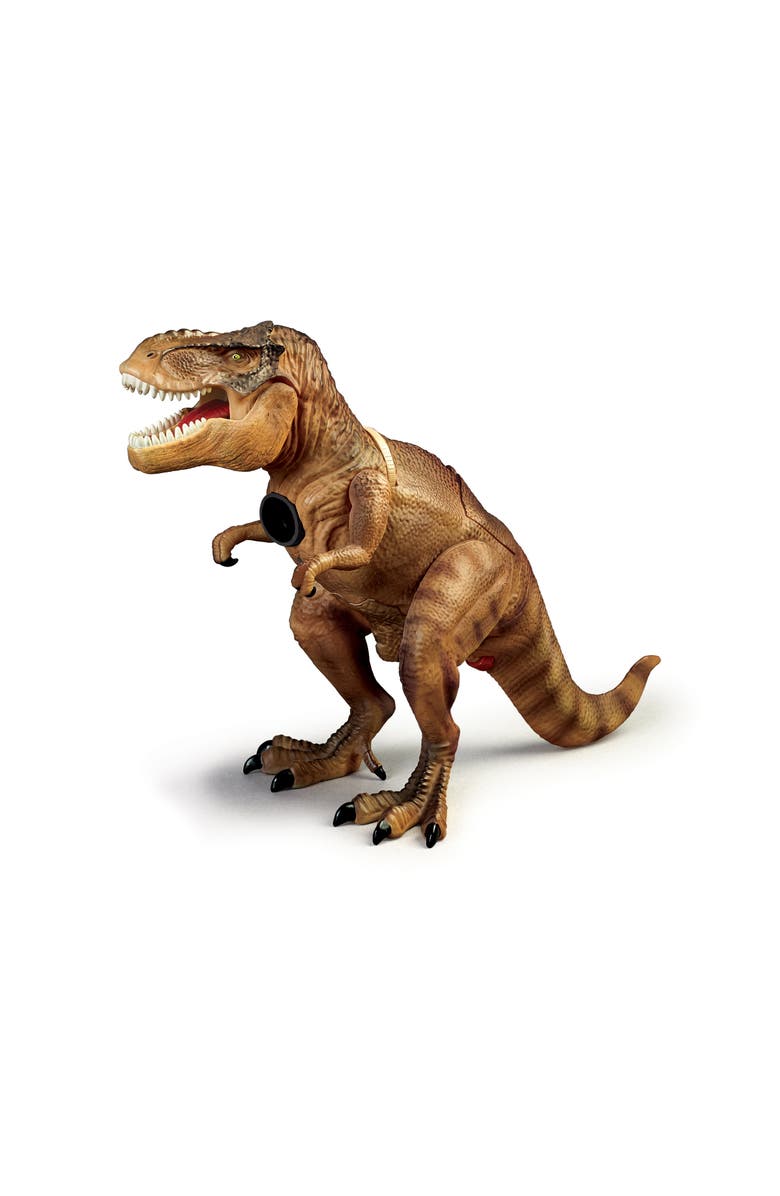 Brainstorm Toys T Rrex Projector And Room Guard, Alternate, color, Brown