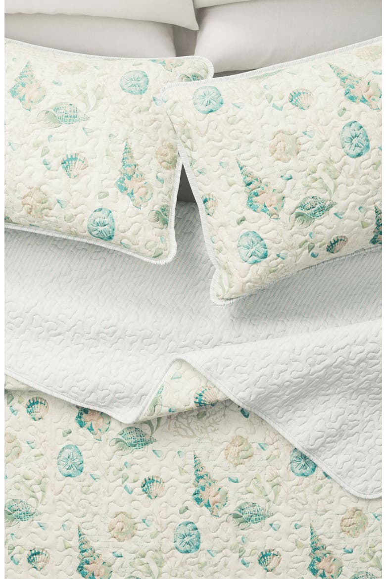 Coastal Seashell Quilt & Sham Set, Alternate, color, SHELLS
