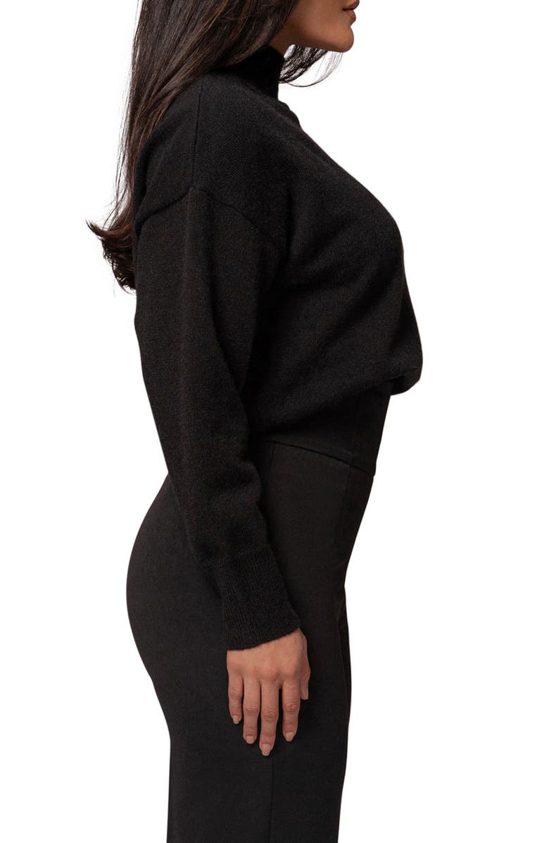 JLUXLABEL Turtleneck Sweater, Alternate, color, Black