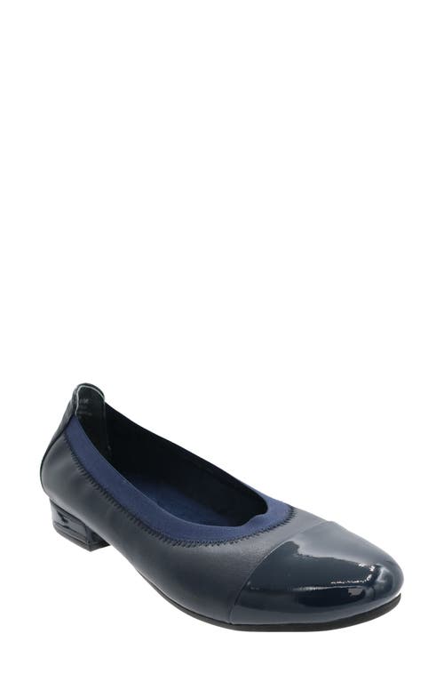 David Tate Nicole Cap Toe Flat In Multi