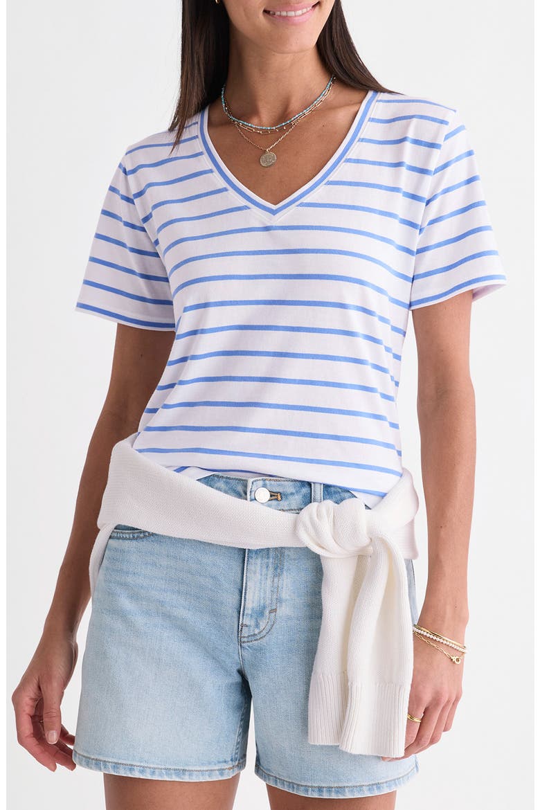 V-Neck Cotton T-Shirt, Main, color, BREAKER BLUE STRIPE