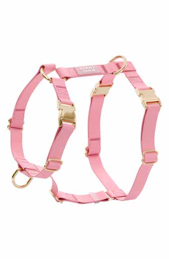 Cloud Lite Waterproof Dog Harness