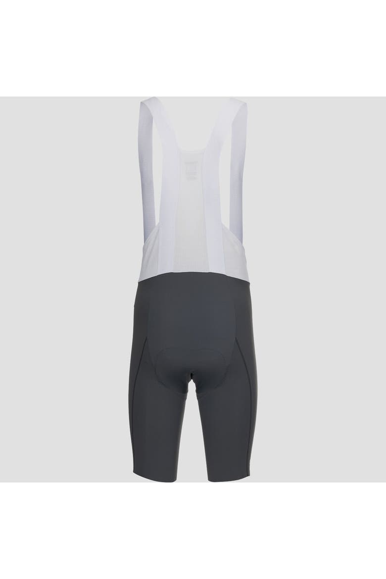 Spinshift Bib Short+ - Men's, Alternate, color, Lab Graphite