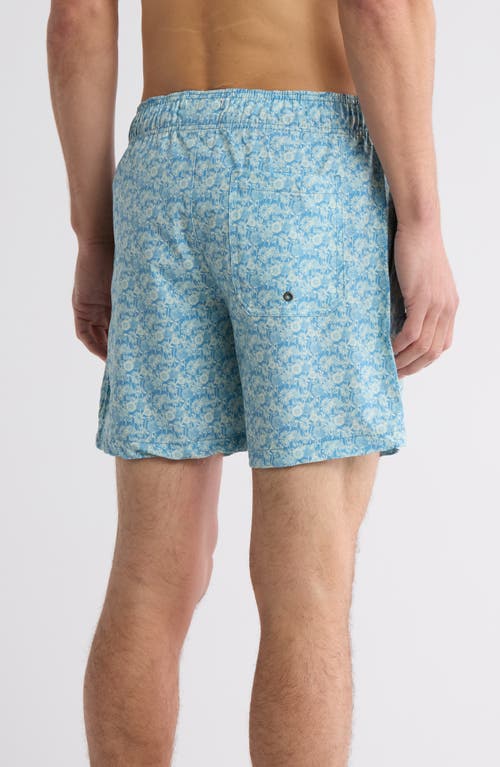 BEACH BROS BEACH BROS SMALL FIELD OF DAISES SWIM TRUNKS 