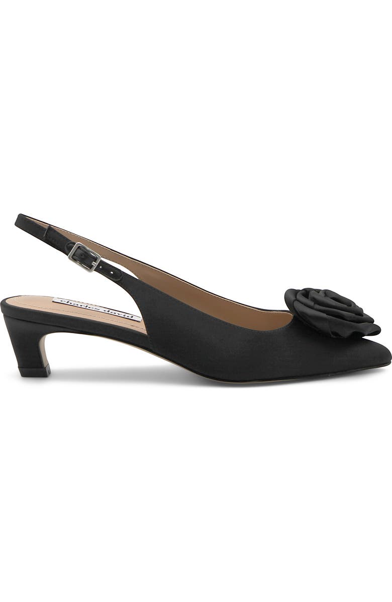 Charles David Aleph Slingback Pointed Toe Kitten Heel Pump, Alternate, color,