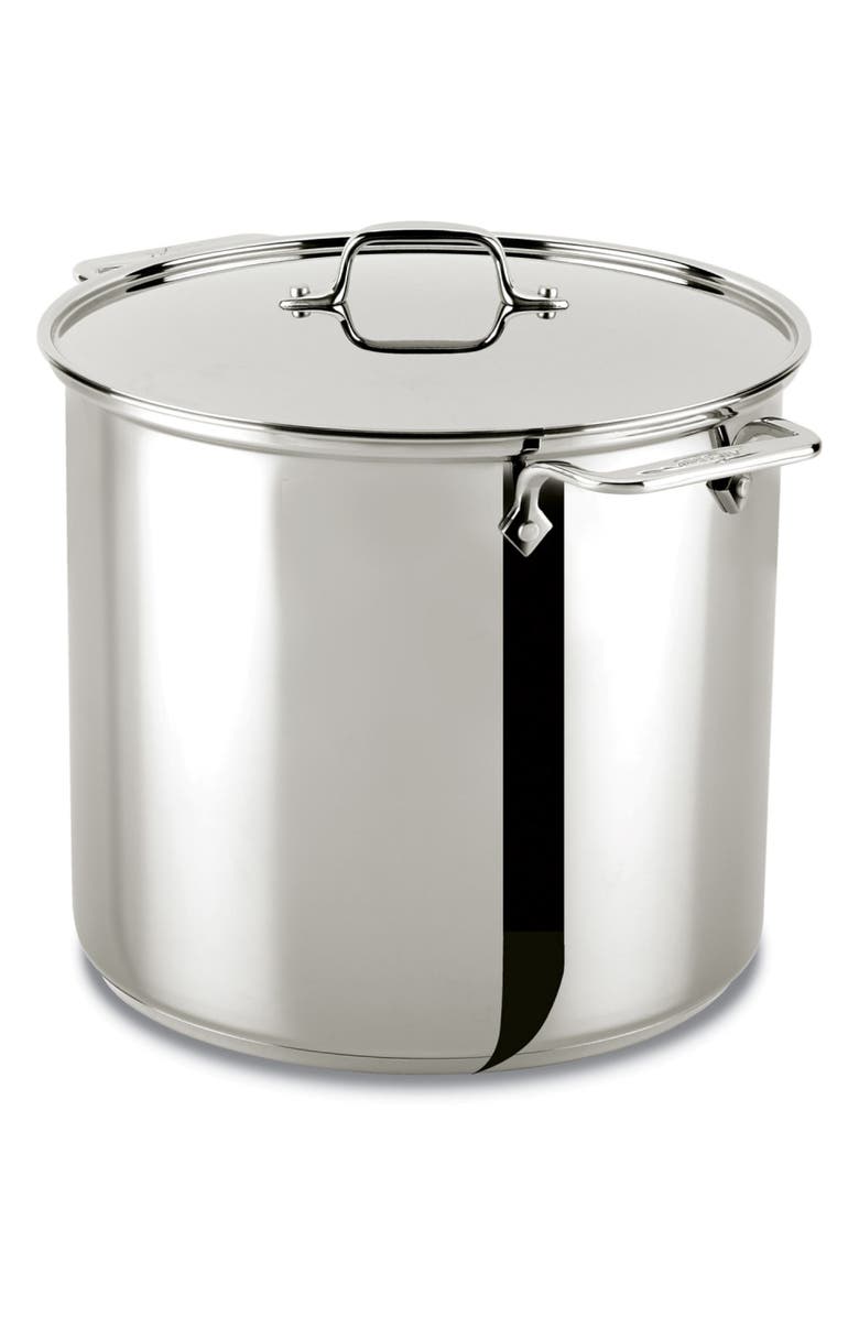 All-Clad 16-Quart Stainless Steel Stockpot with Lid, Main, color, 