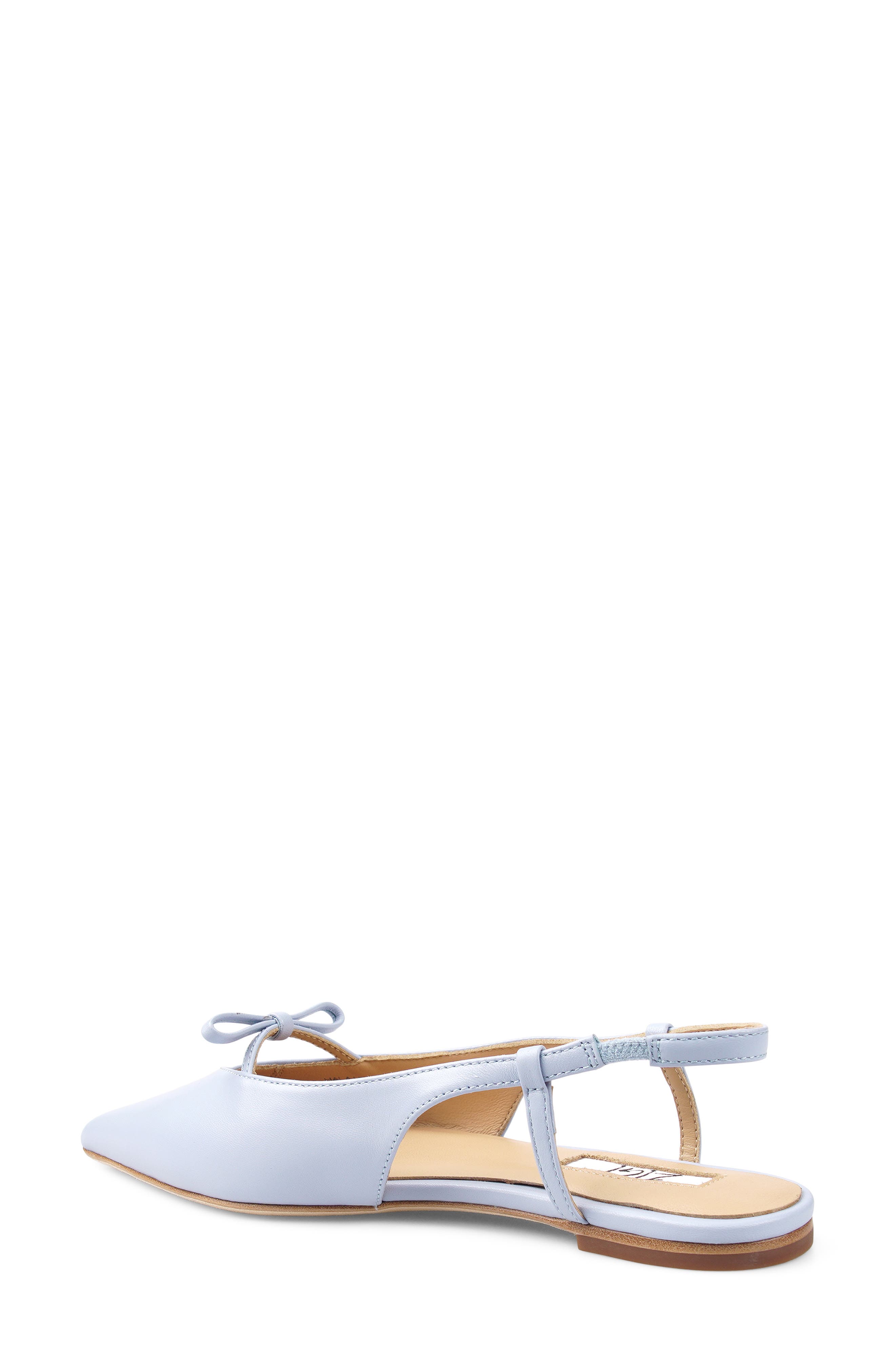 Hala Pointed Toe Slingback Flat, Alternate, color, DUSTY BLUE