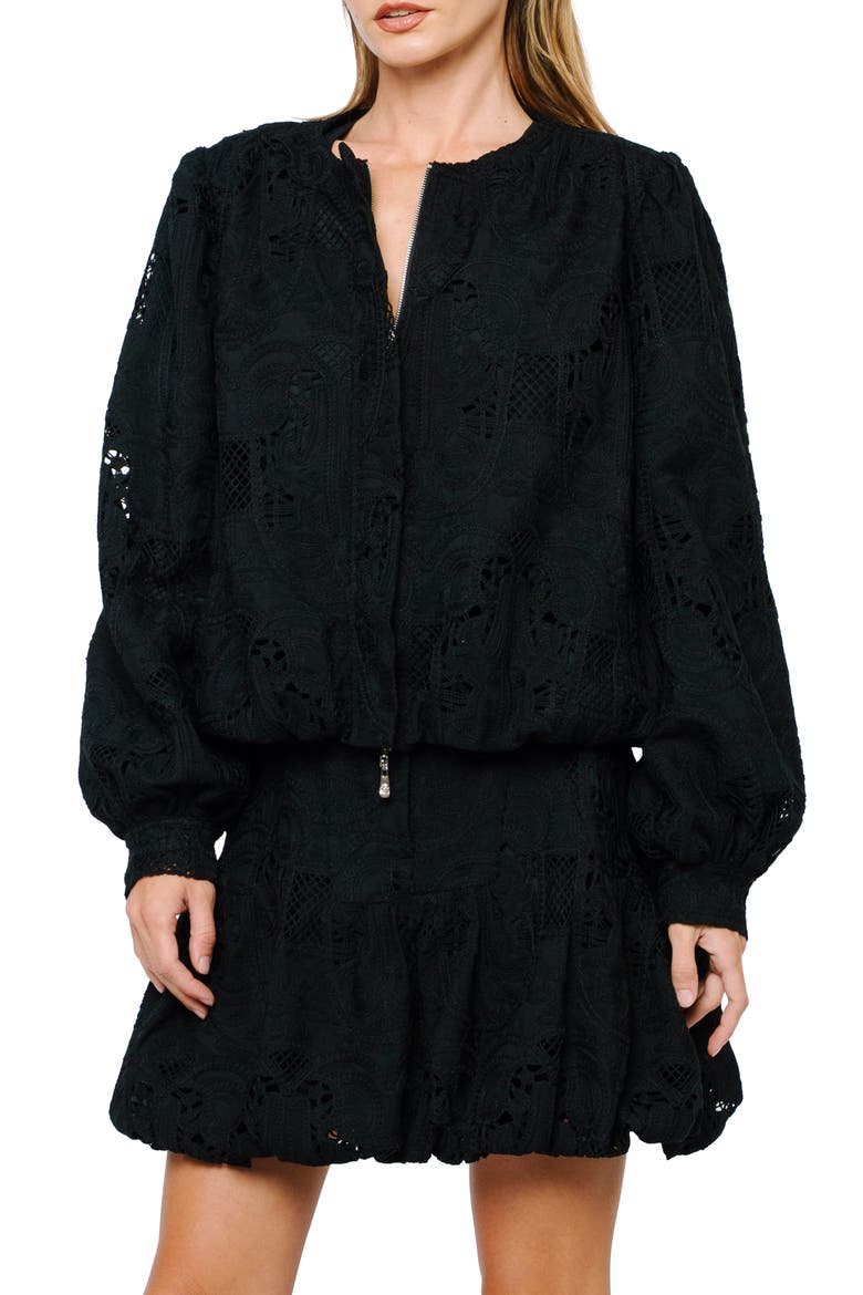 Raz Embroidered Eyelet Ruffled Miniskirt, Alternate, color, BLACK