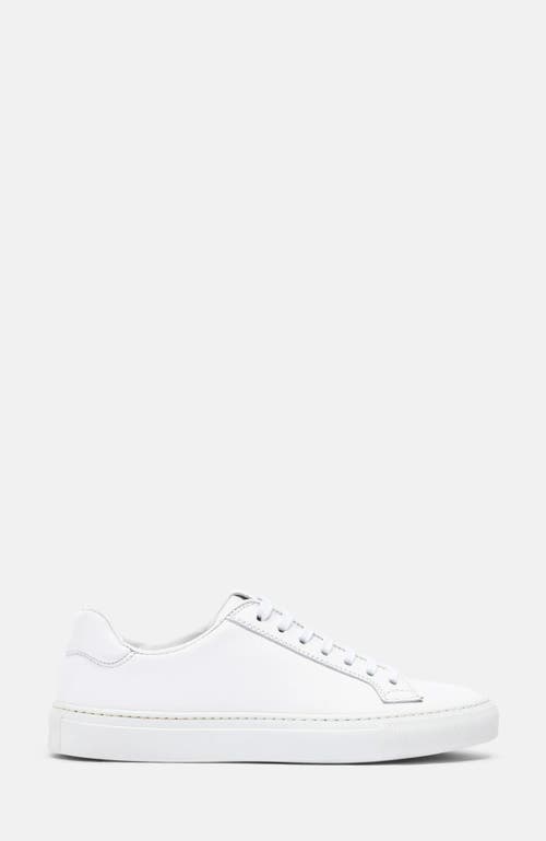 Scarosso Cecilia Sneakers