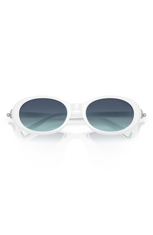 Tiffany & Co . 54mm Oval Sunglasses In Multi