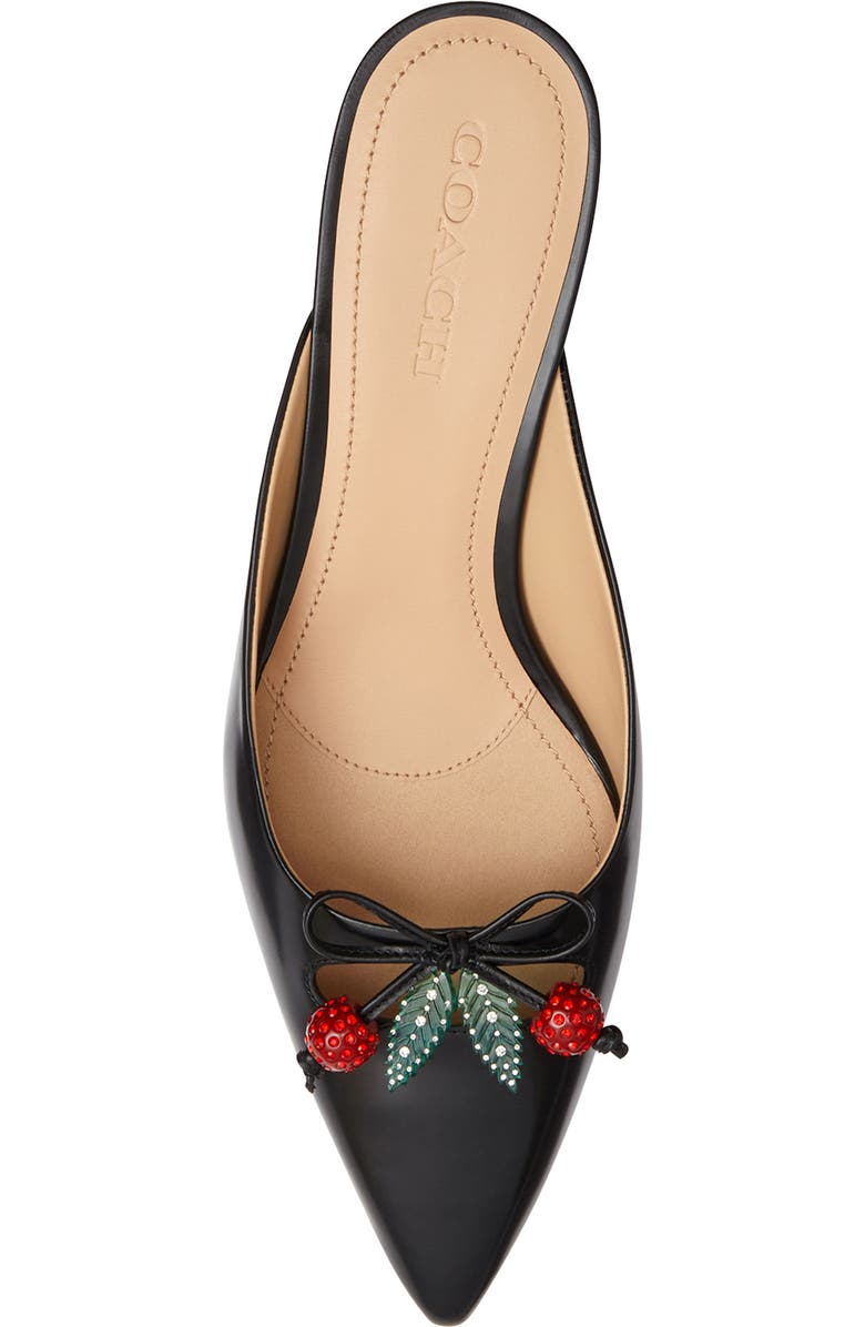 COACH Runway Pointed Toe Kitten Heel Mule, Alternate, color,