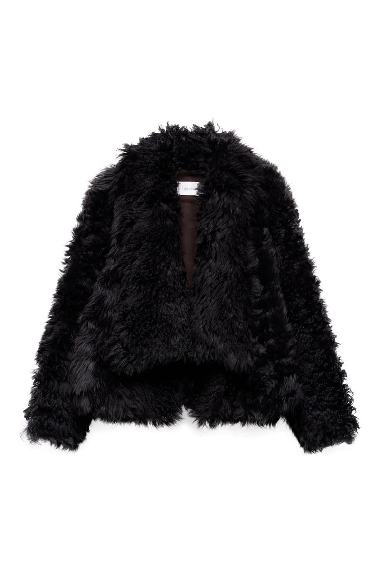 Genuine Shearling Jacket, Alternate, color, SHEARLING SABLE