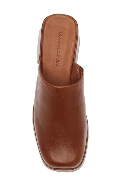 Chocolat Blu Hedia Platform Mule In Brown