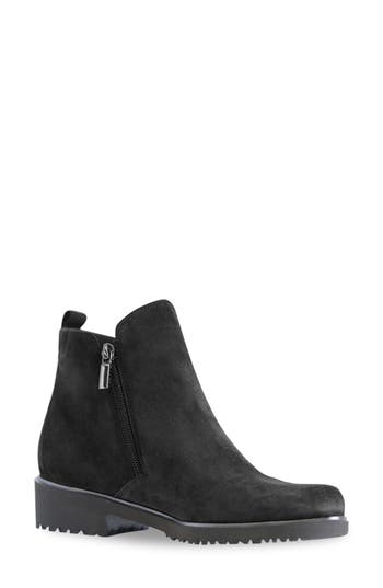 Shop Munro Rourke Water Resistant Bootie In Black Suede