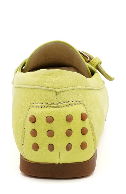 Amalfi By Rangoni Deliza Loafer In Lime Vapor