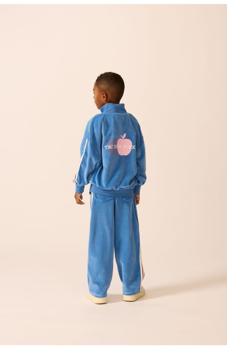 The Sunday Collective Velour Track Jacket, Alternate, color, Blue Note