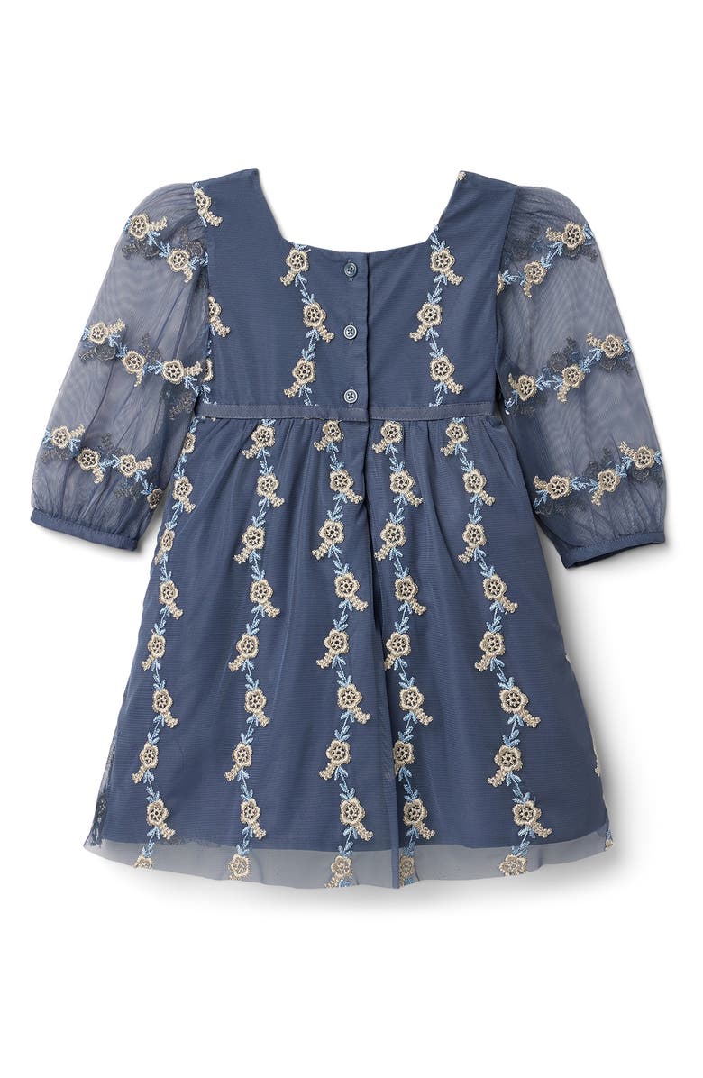Janie and Jack Kids' Embroidered Tulle Dress, Alternate, color, 