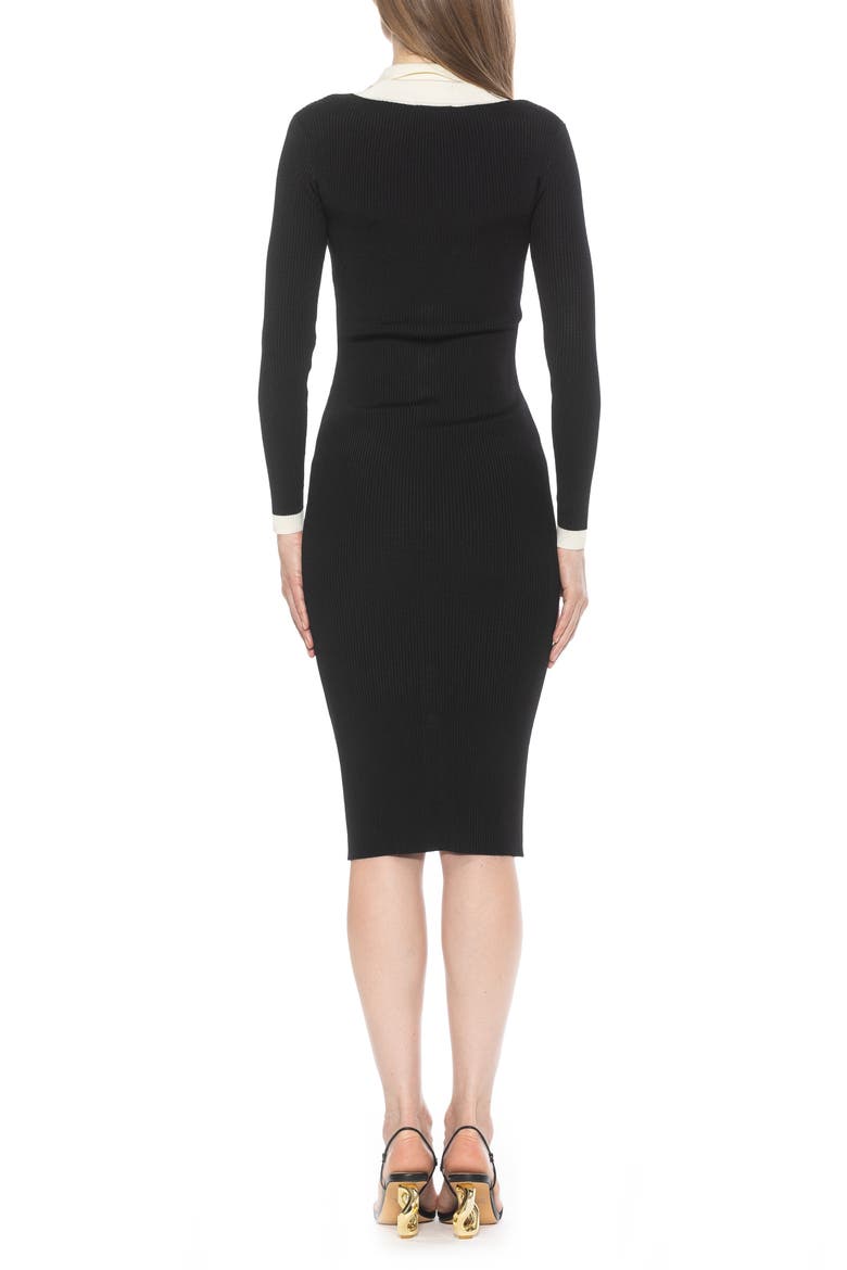 Cordelia Knit Long Sleeve Shirtdress, Alternate, color, BLACK