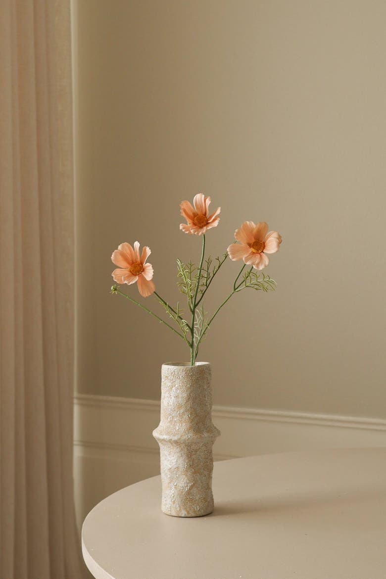 Champagne Cosmo Daisy Flower, Alternate, color, Beige