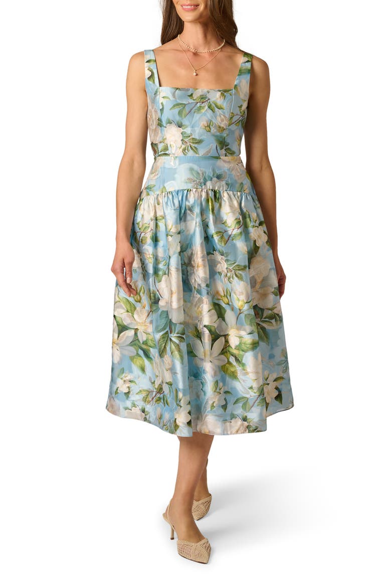 Gathered Floral Organza Midi Dress, Main, color, BLUE MULTI