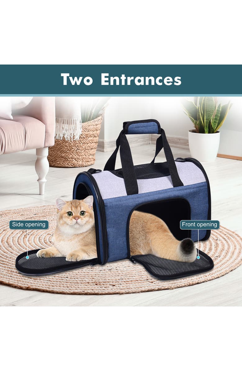 JESPET Sport Airline Pet Carrier, Alternate, color, Multicolored