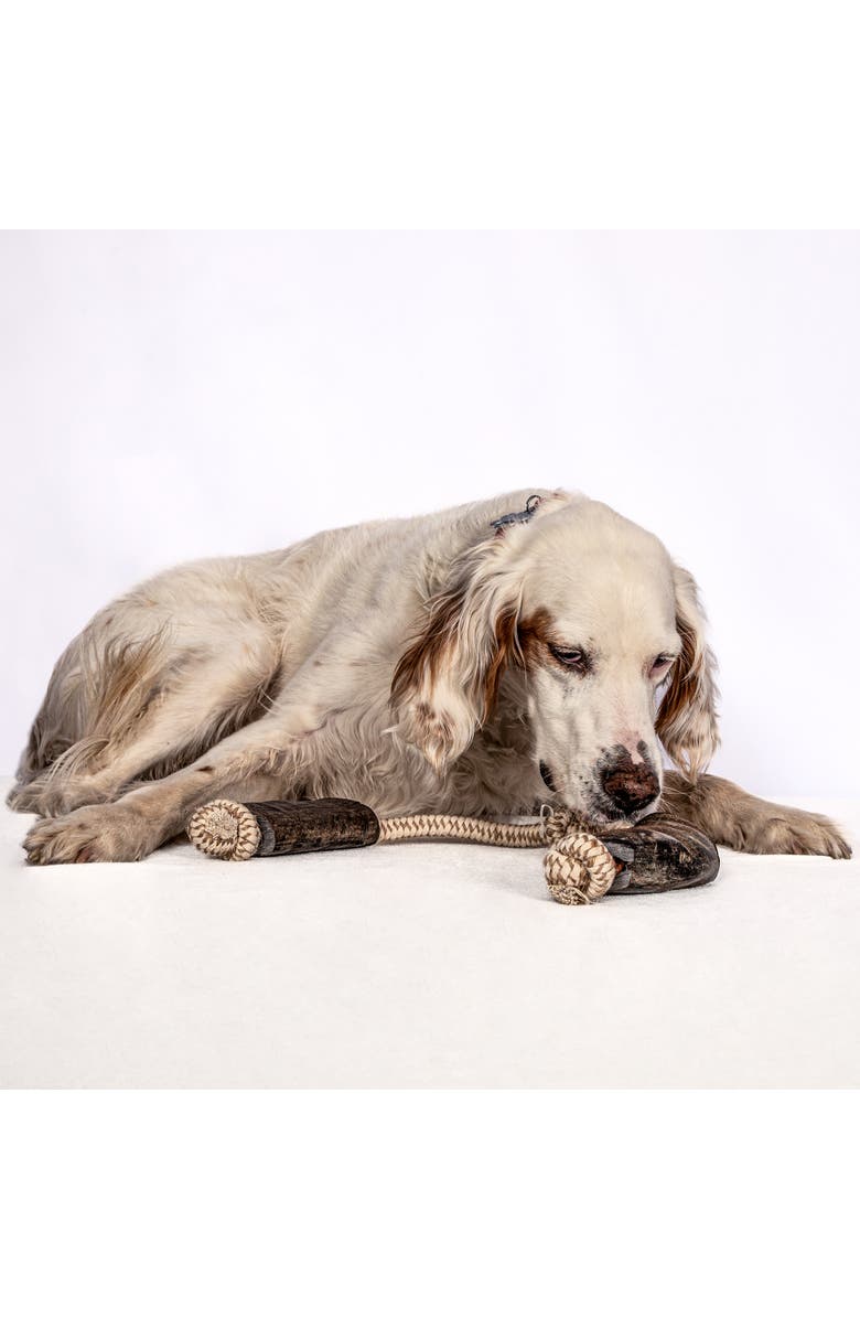 MOSSY OAK Water Buffalo Horn & Tug Dog Chew - 24" Knotted Natural Cotton Rope, Alternate, color, Beige