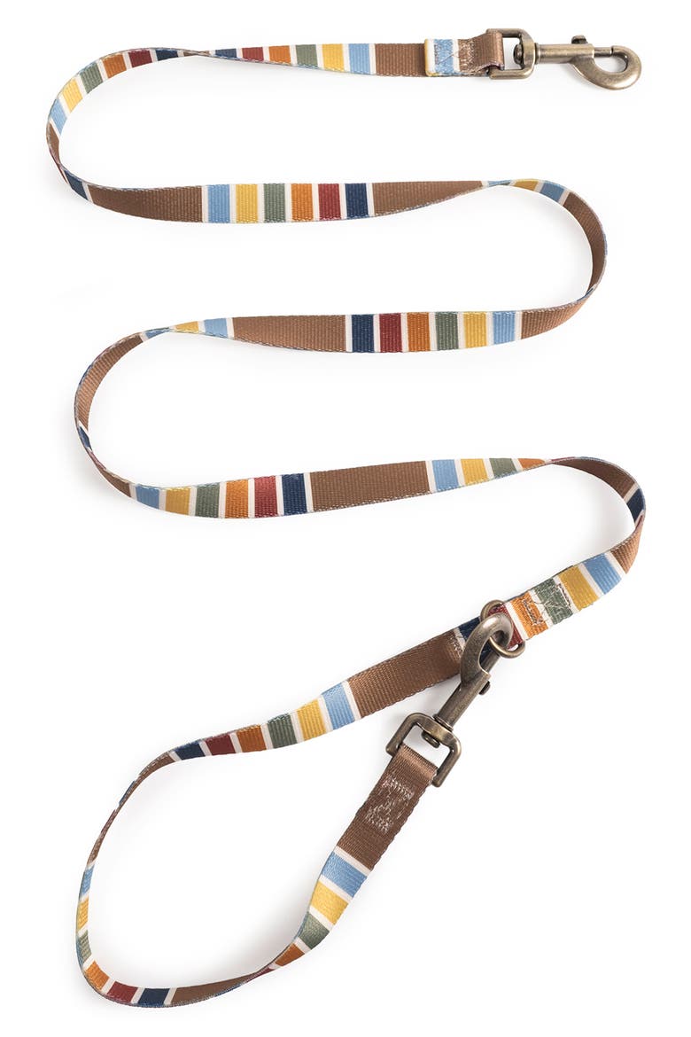 National Park Adventure Leash, Alternate, color, JOSHUA TREE