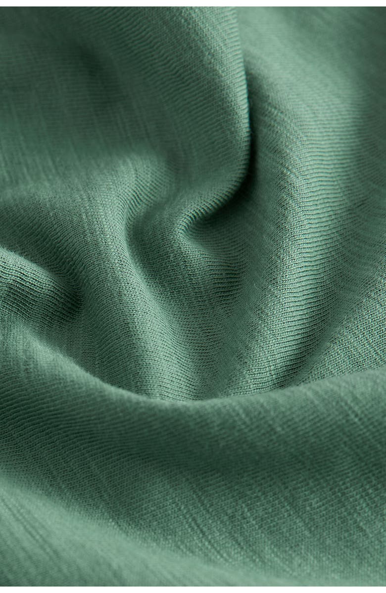 NEXT Kids' Cactus Cotton Graphic T-Shirt, Alternate, color, Green