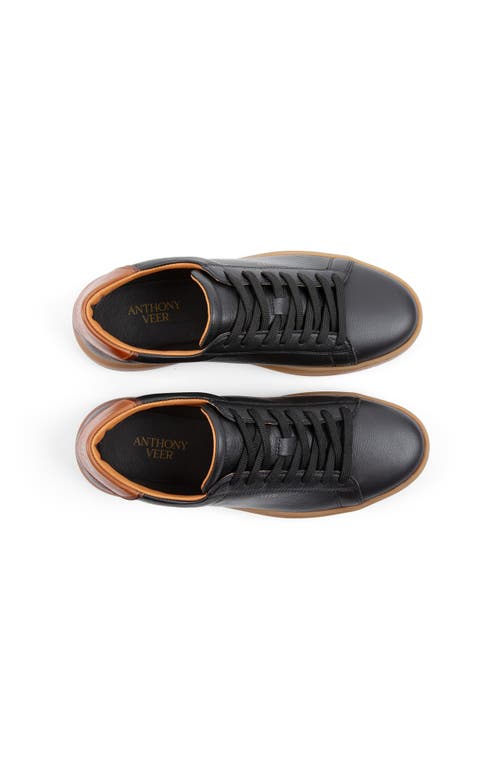 Anthony Veer Men's Paul Sneaker In Black
