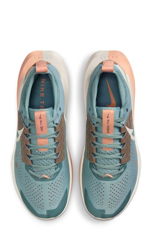 Nike Zegama 2 Trail Running Shoe In Multi