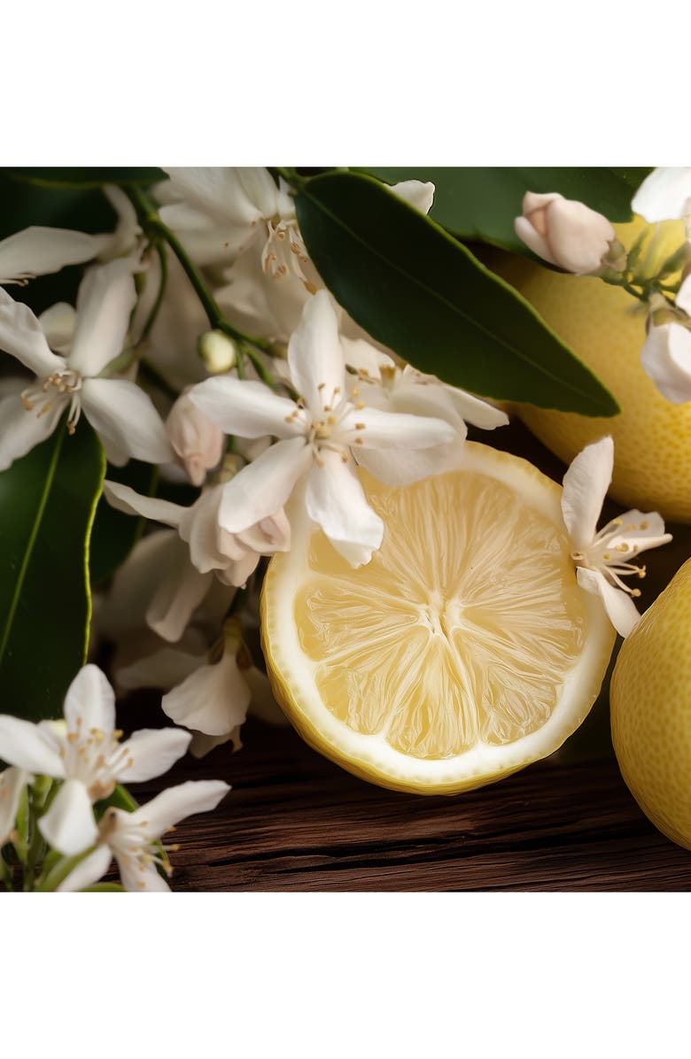 House of Sillage Mickey & Friends Amplifier Gift Set, Alternate, color, 