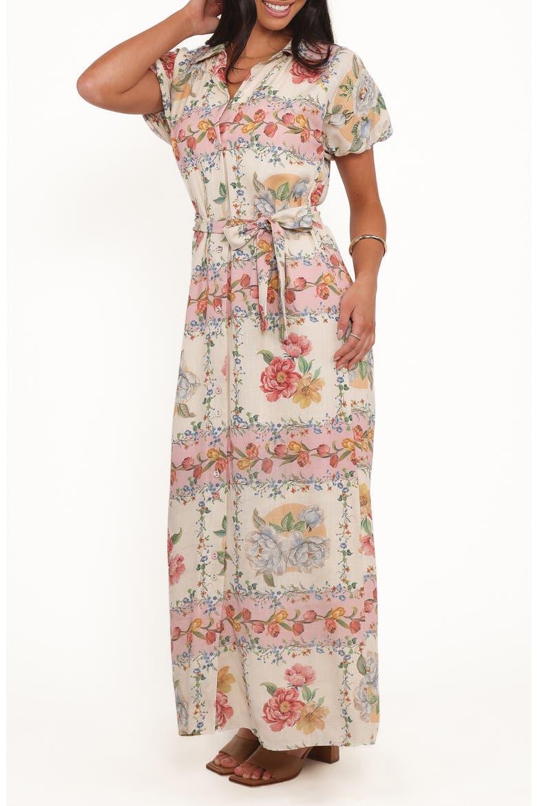 James Print Tie Waist Maxi Shirtdress, Alternate, color, ROSE TILE