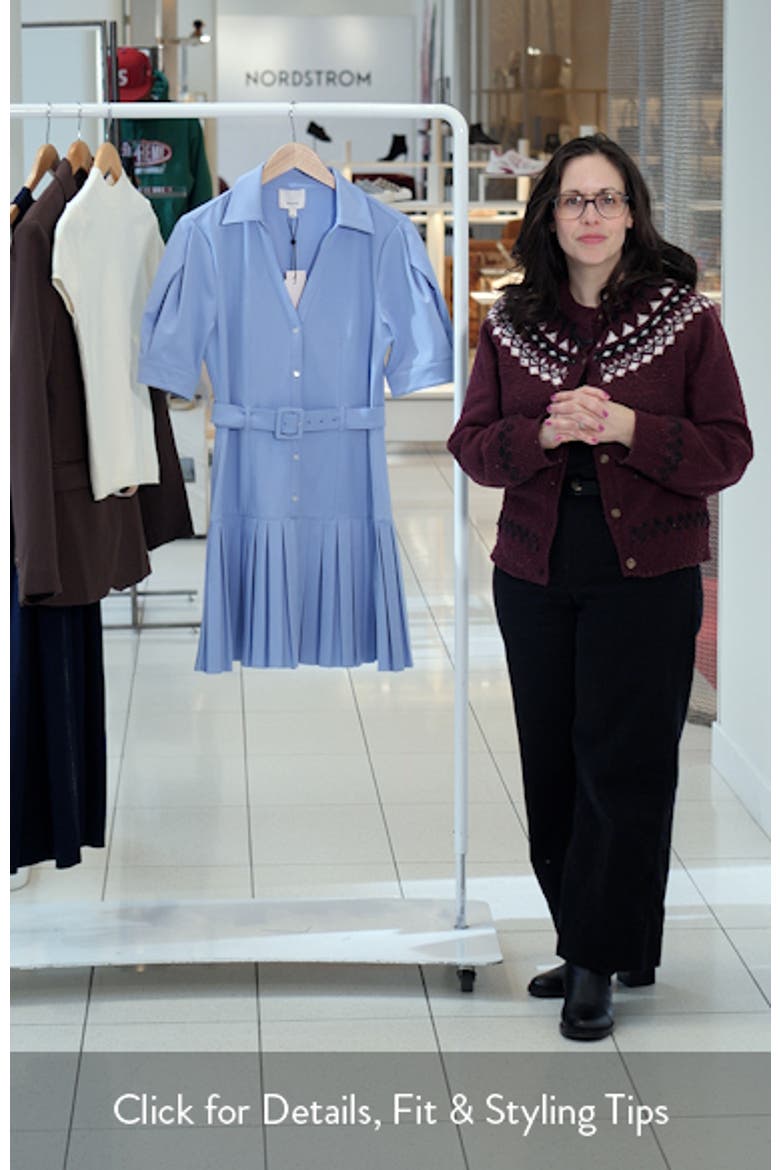 Moriah Pleated Belted Drop Waist Shirtdress video